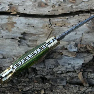 Handmade Damascus Pocket knife Green Dollar sheet Handle Birthday Gift Back Lock Folding knife Groomsmen Gift Personalized Men Gift For Men