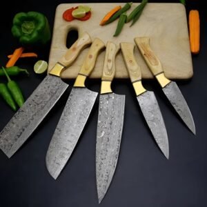 Custom Handmade Damascus Premium Quality 5 Piece Chef Knife Set, Hand Crafted